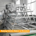 A Type Automatic Battery Chicken Cage for Layer/ Broiler